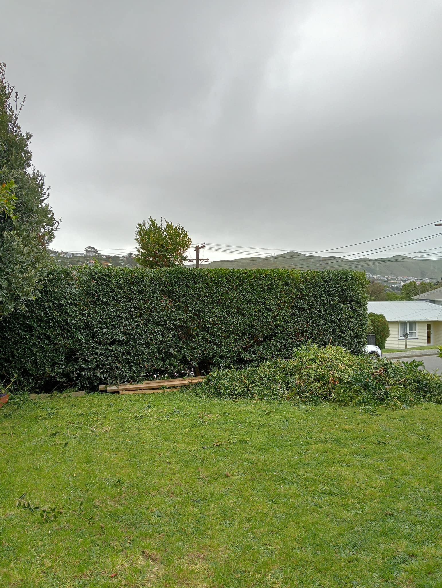 After image 3
