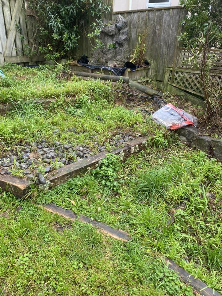 Before image 2